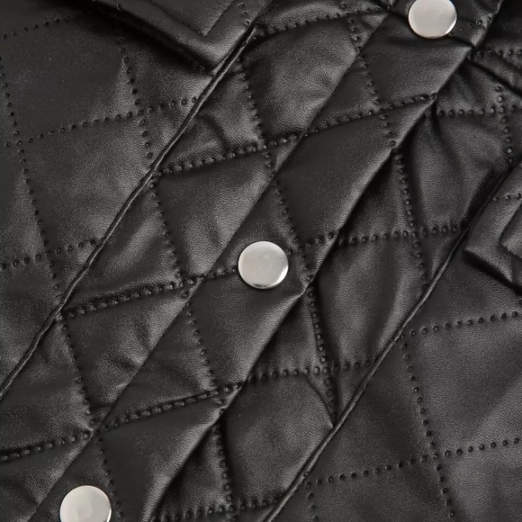 Faux Leather Vest - Picture 2 of 3